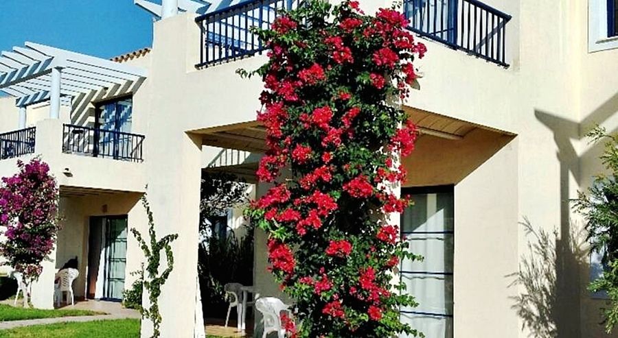 Apartamentos Primasud 蓬塔普里马 外观 照片